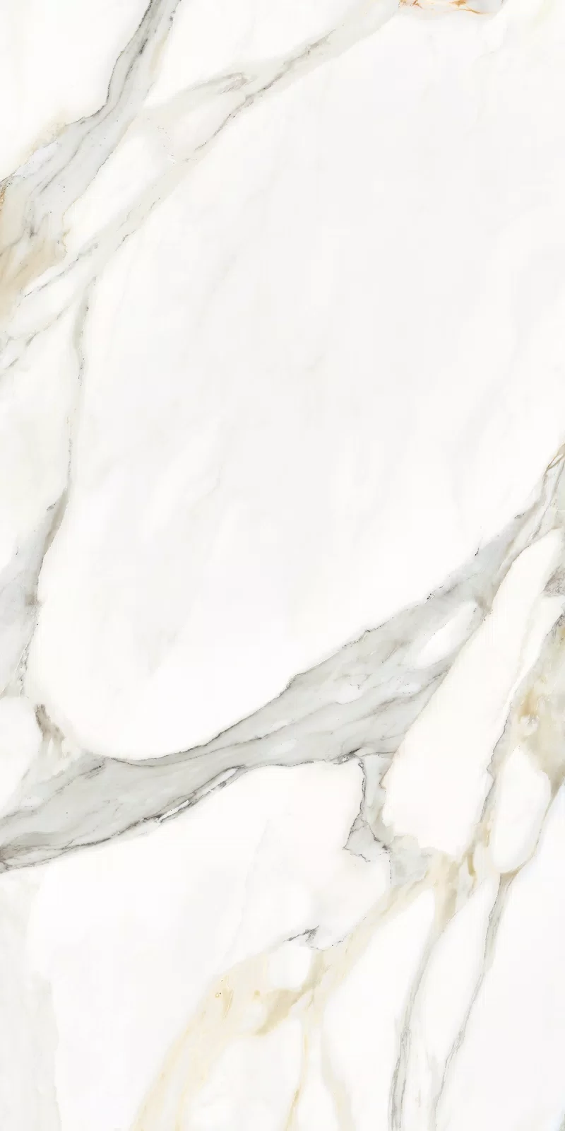 LA MARMOTECA_CALACATTA ELEGANCE_60X120_15