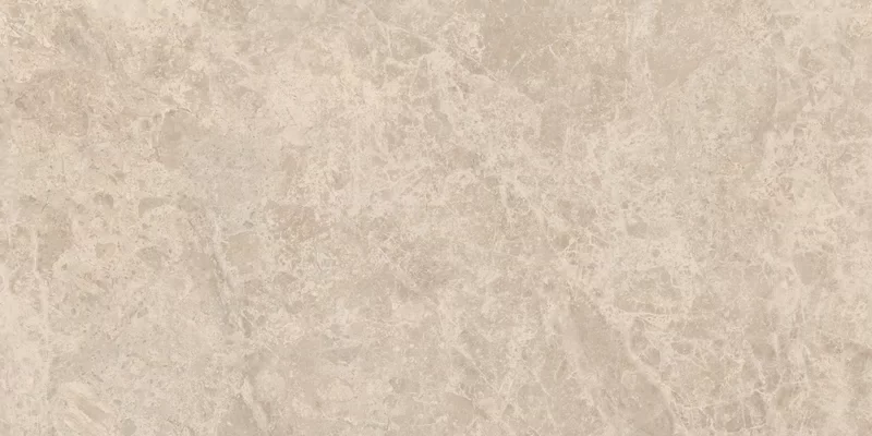 ERA DELICATE TAUPE 60X120_18