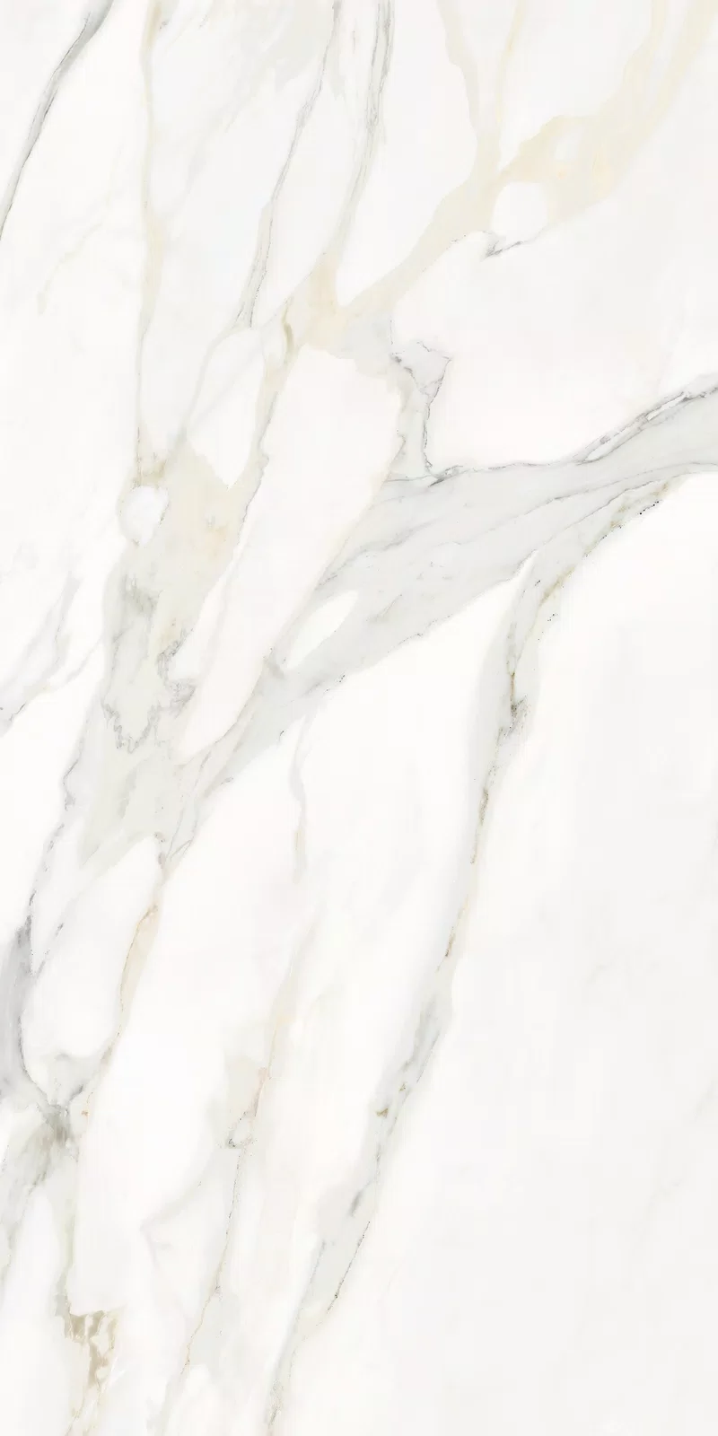 LA MARMOTECA_CALACATTA ELEGANCE_60X120_6