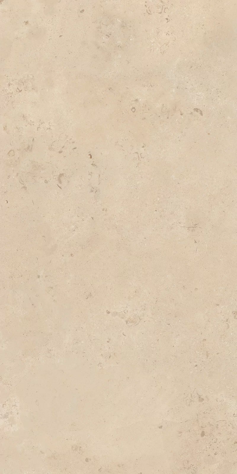 OUT.20 CAMARGUE BEIGE 60X120_08
