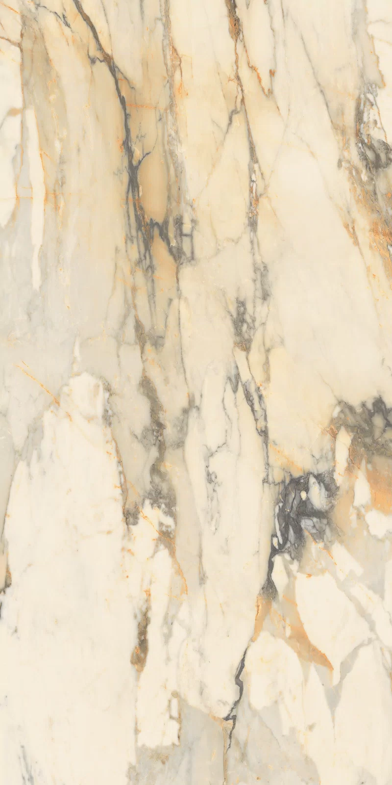 LA MARMOTECA_ANTIQUE BROWN_60x120_04