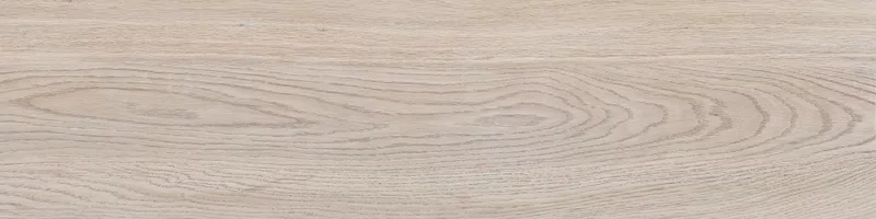 FOUR SEASONS BISCUIT 30X120_15