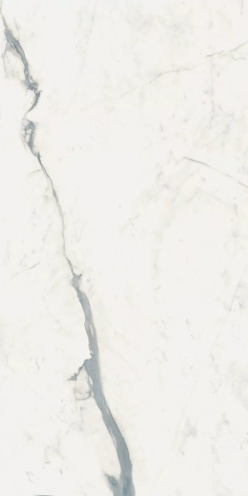 STATUARIO SUPERIOR_60x120_17