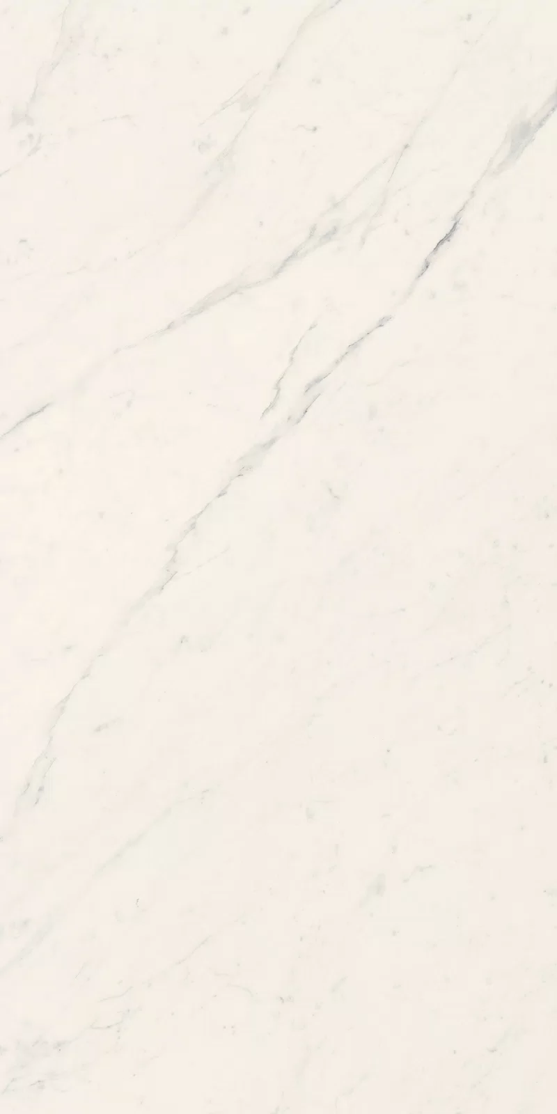 LA MARMOTECA_SAHARA WHITE_60X120_1