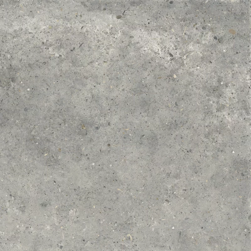 ANIMA GRIGIO 60X60_05