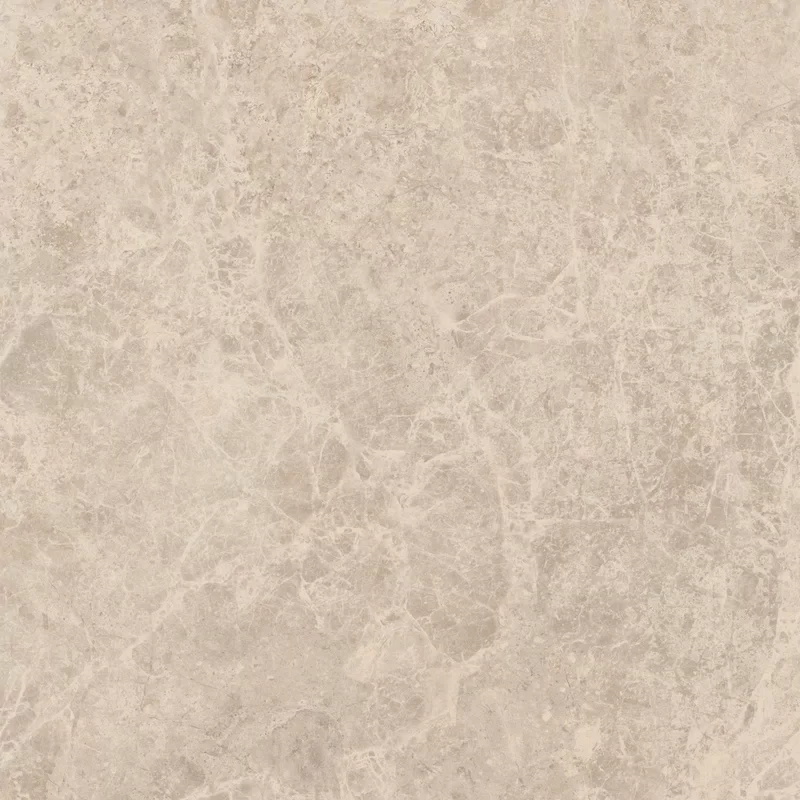 ERA DELICATE TAUPE 60X60_03