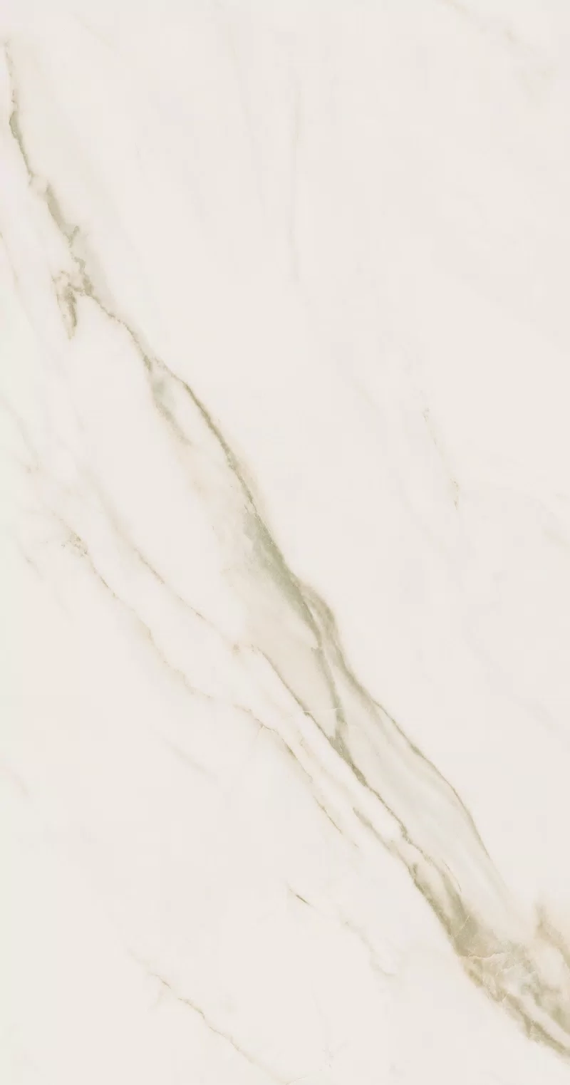 SENSI UP CALACATTA GOLD 60X120 _7