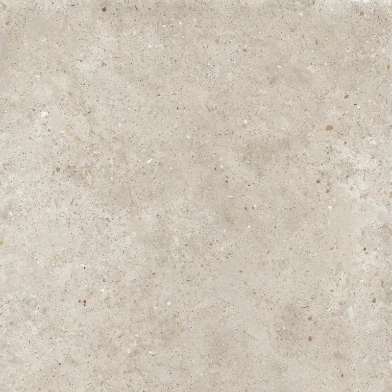 ANIMA BEIGE 60X60_04