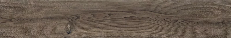 POETRY WOOD MUD 20X120_30
