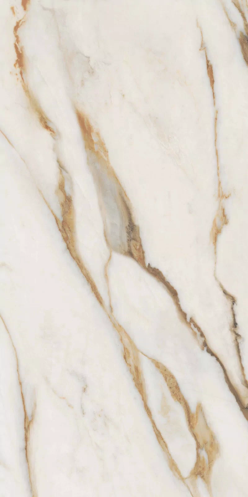 NOBILE CALACATTA 60X120_18