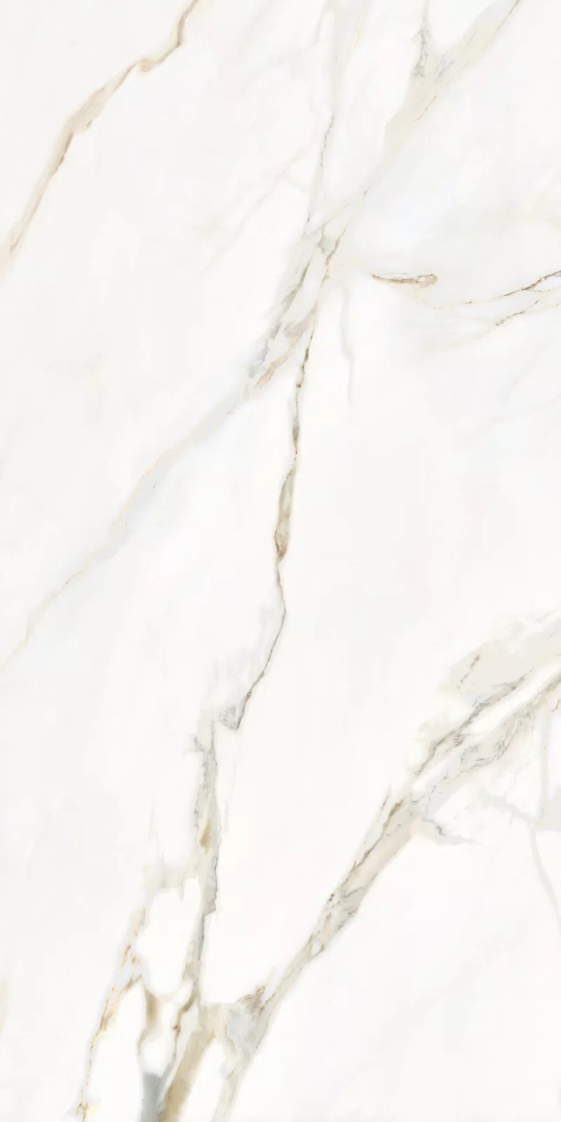 LA MARMOTECA_CALACATTA ELEGANCE_60X120_11