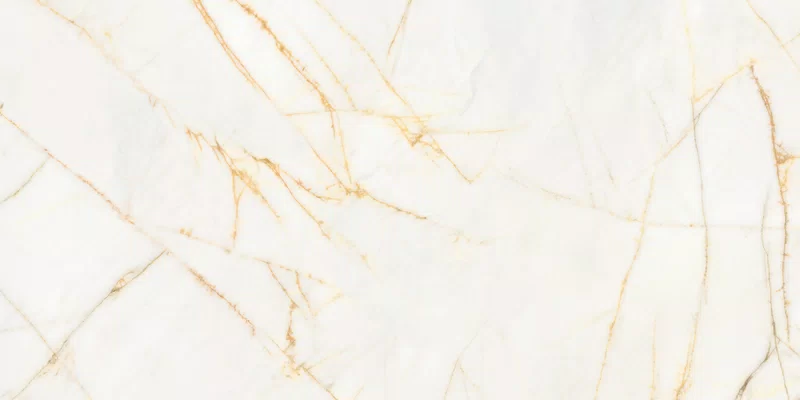SUPREME HEDONISM GOLDEN SPIDER 60X120_06