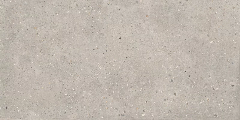 COSMOPOLITAN VIBRANT GREIGE 60X120_11