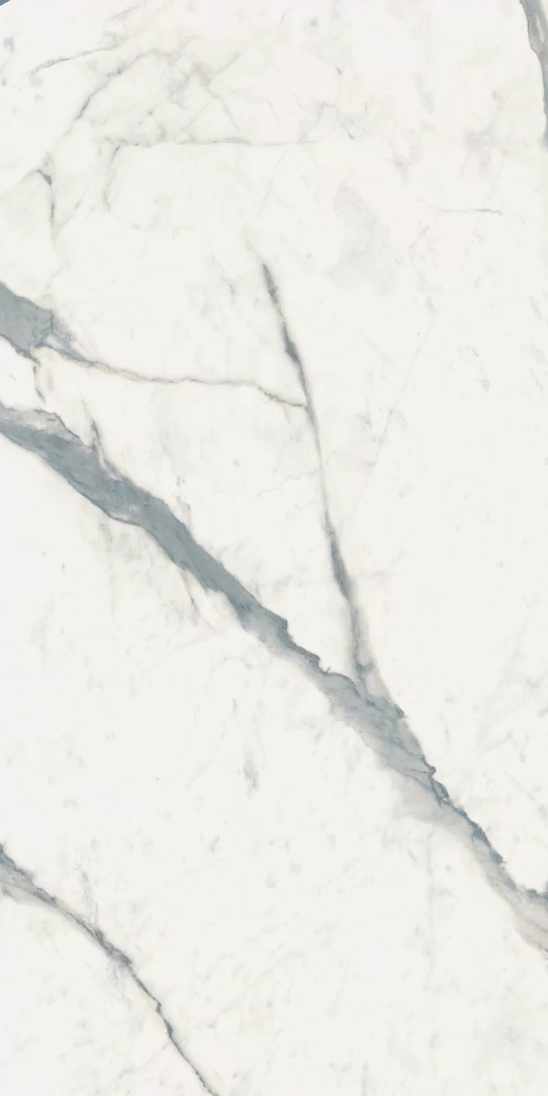 STATUARIO SUPERIOR_60x120_2