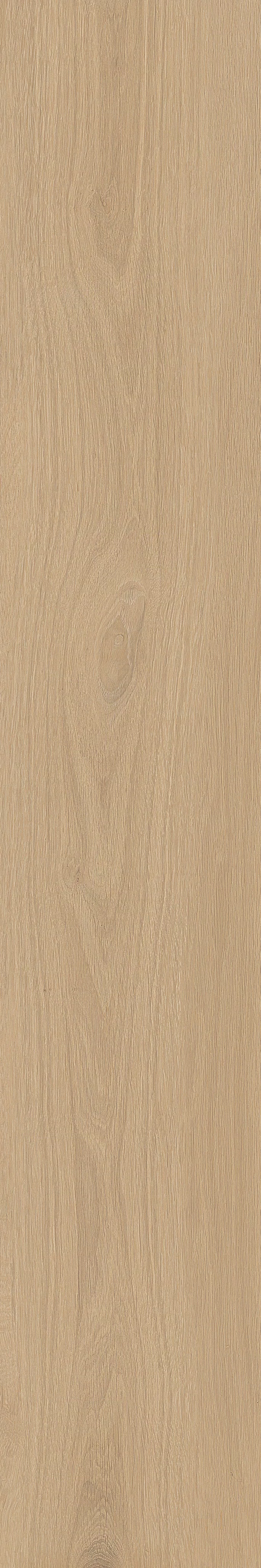 TABULAE REFINED MIELE 20X120_09