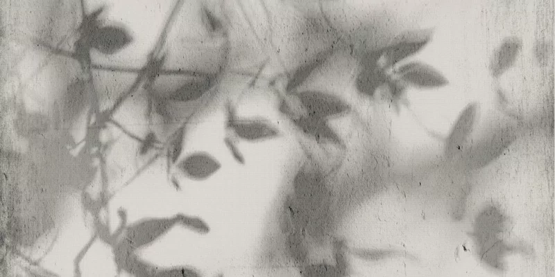 ART WALLS SHADOW 60X120_02