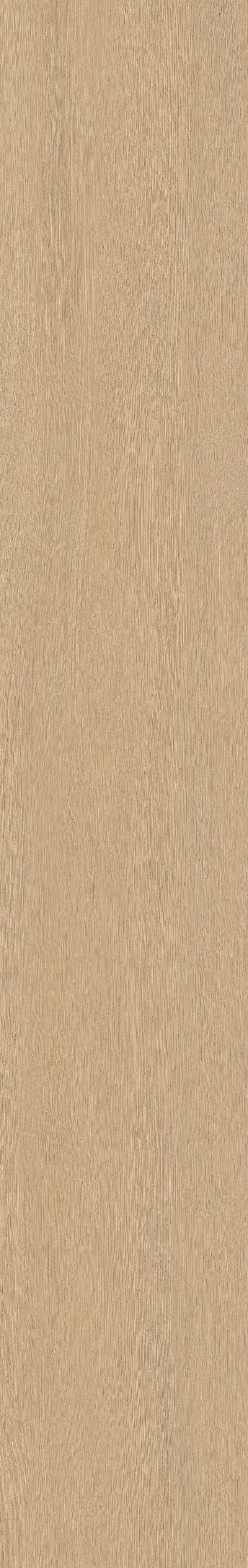 TABULAE REFINED MIELE 23,4X148_17
