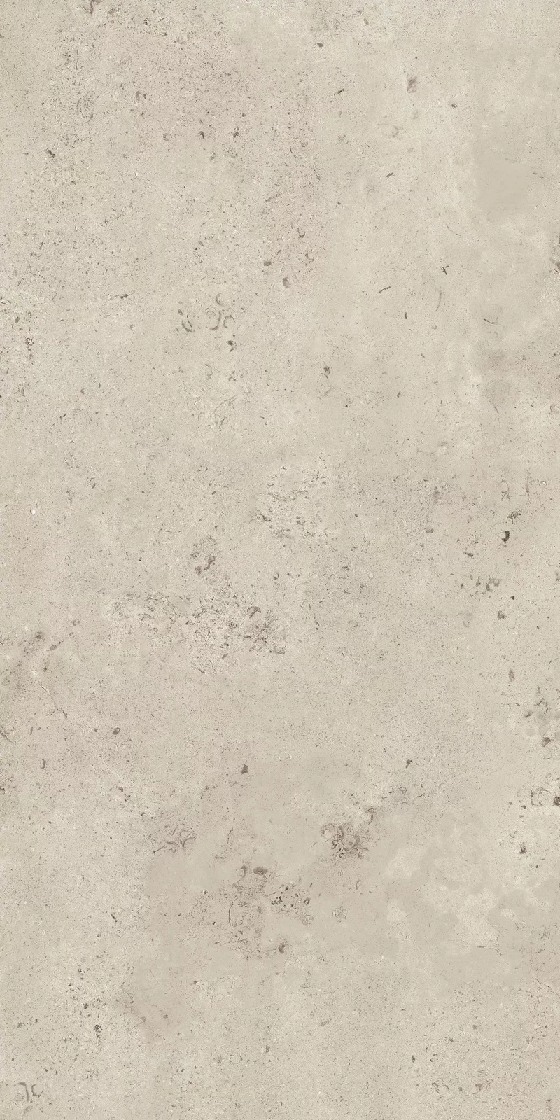 X20 CAMARGUE IVORY 60X120_05