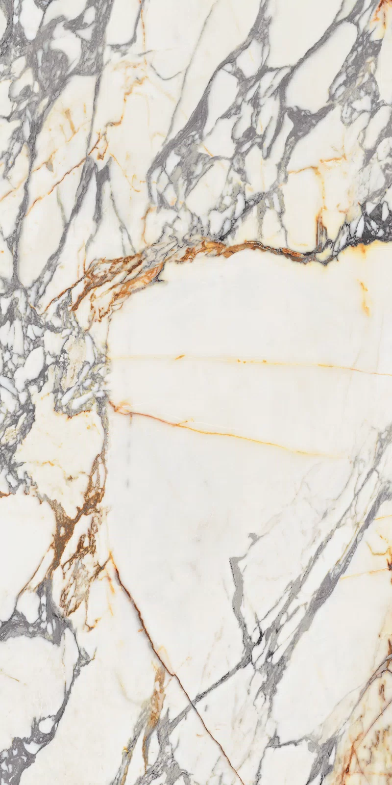 EPOQUE 21 ARABESCATO 60X120_18