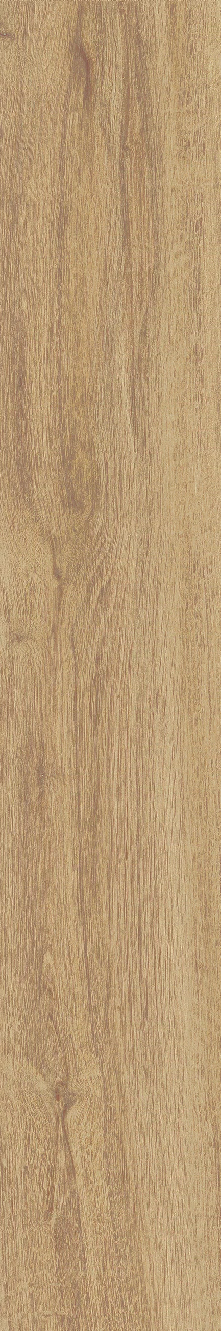 JUST NATURE_BEIGE_MEDIO_20x120_5