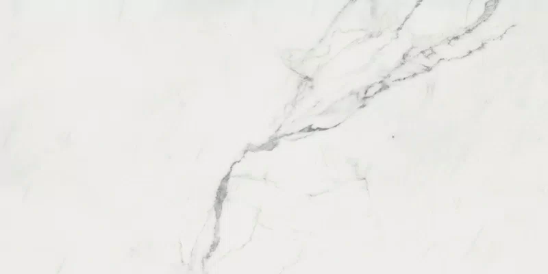 SUPREME EVO PURE STATUARIO 60X120_19
