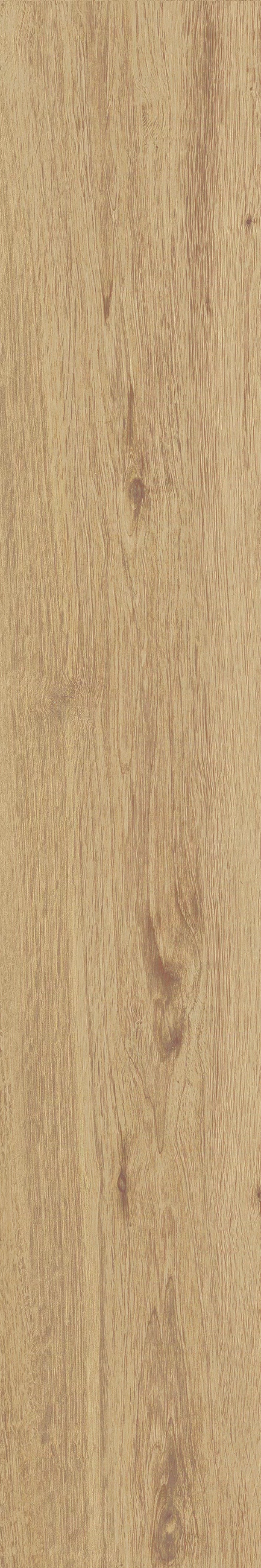 JUST NATURE_BEIGE_MEDIO_20x120_6
