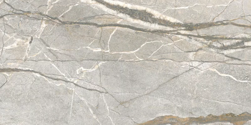 SUPREME HEDONISM SILVER ROOTS 60X120_16