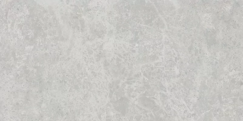 ERA DELICATE ASH 30X60_02