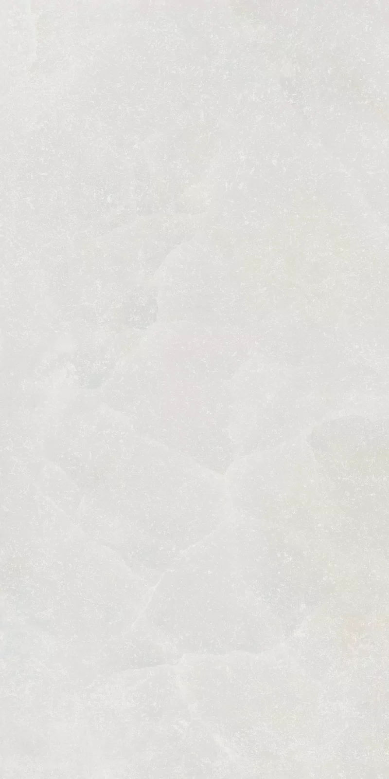 ETEREA ICE RAW 60x120 NAT_17