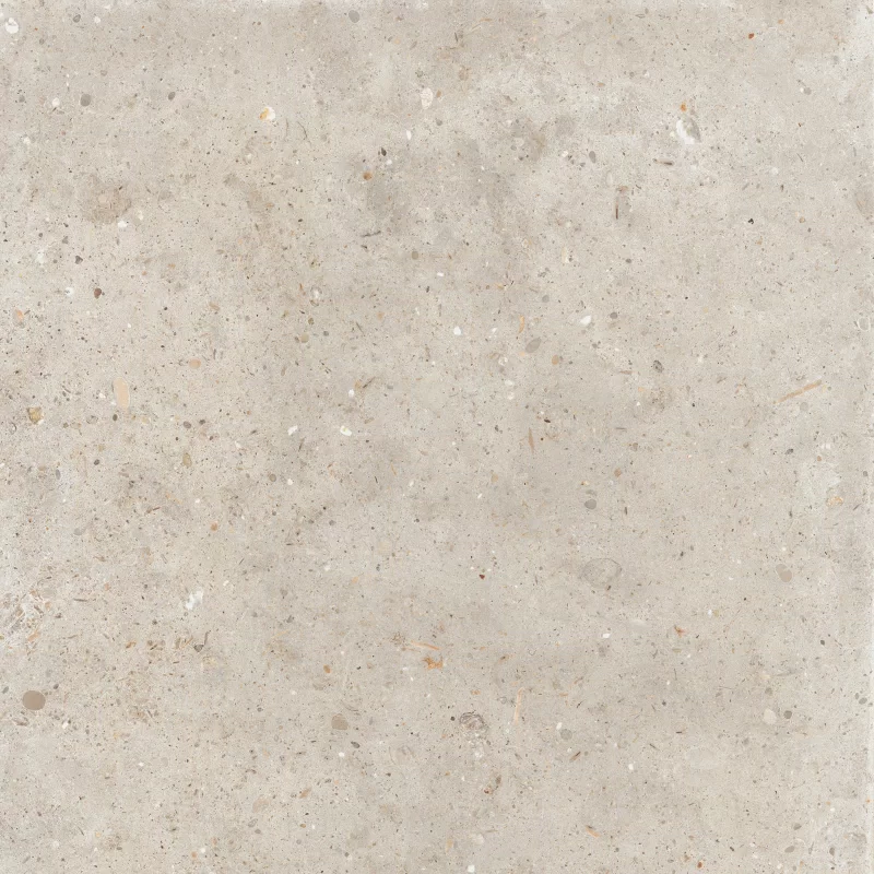 ANIMA BEIGE 60X60_06