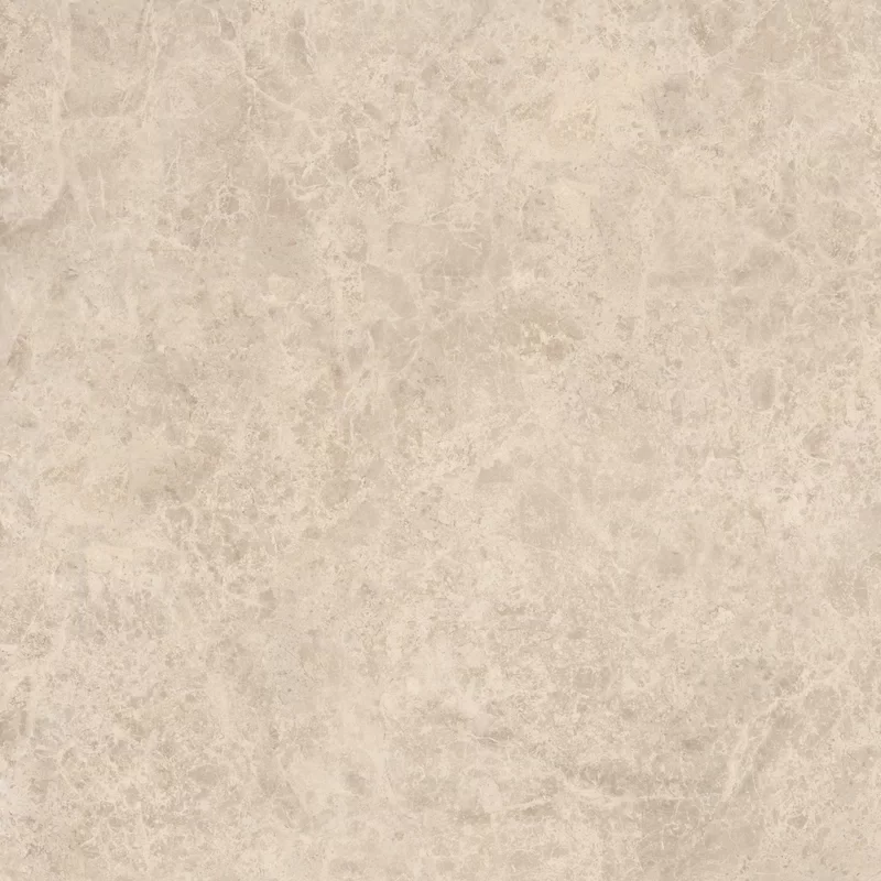 ERA DELICATE TAUPE 80X80_05