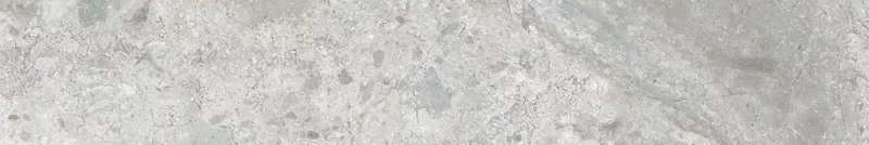 ERA MIX ASH BLOOMING 20X120_01