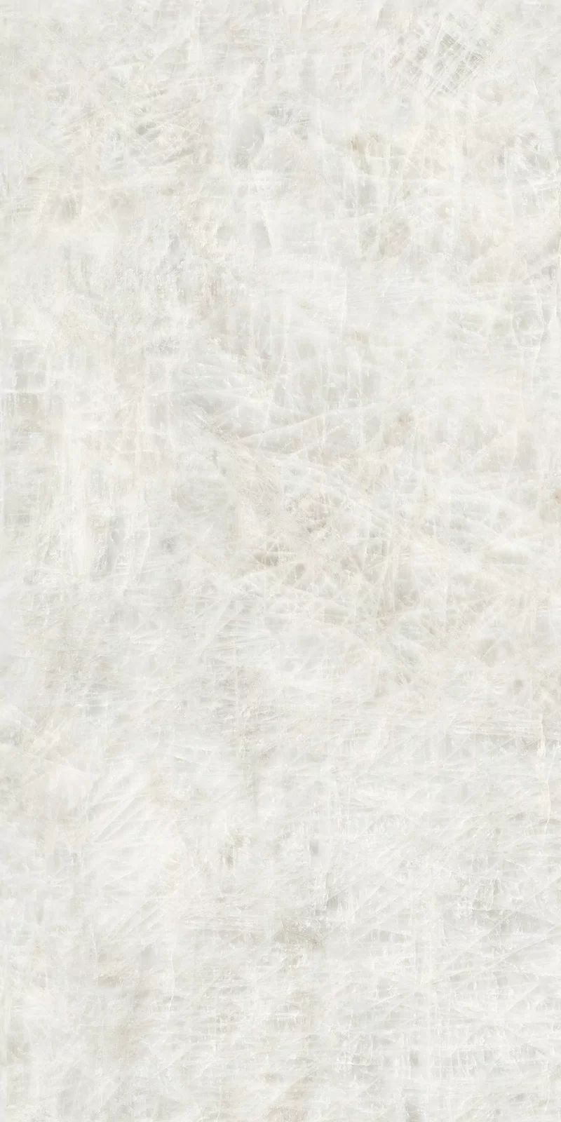 LA MARMOTECA_FROZEN 60X120_02