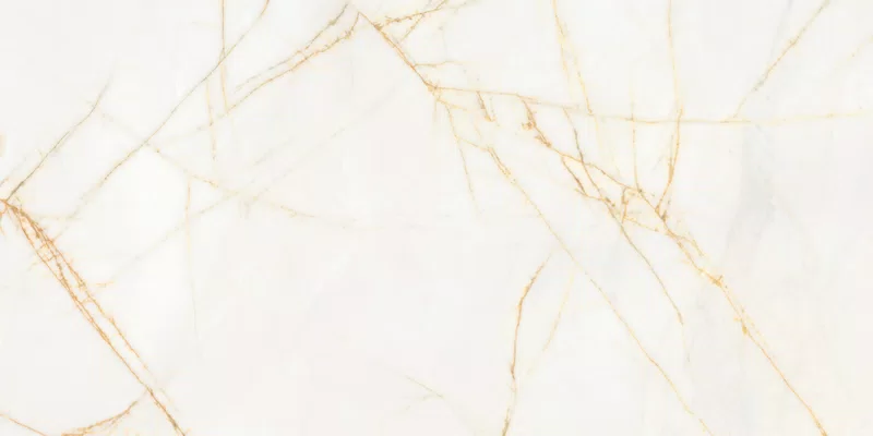 SUPREME HEDONISM GOLDEN SPIDER 60X120_05