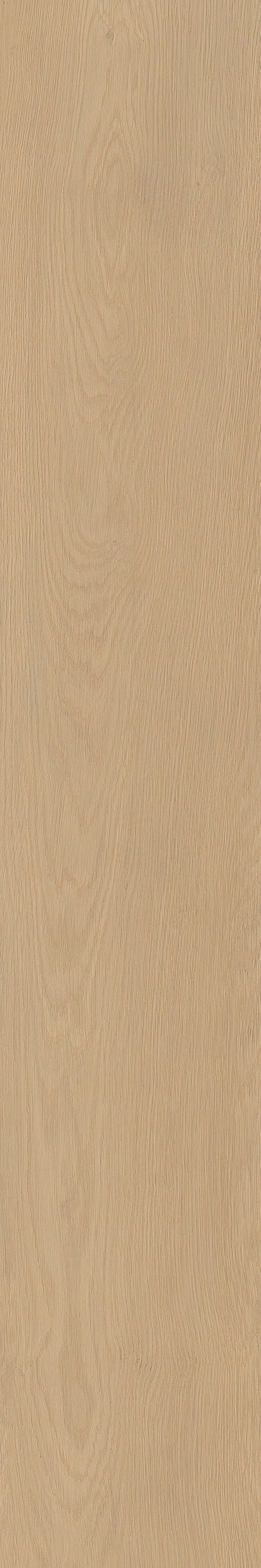 TABULAE REFINED MIELE 20X120_27