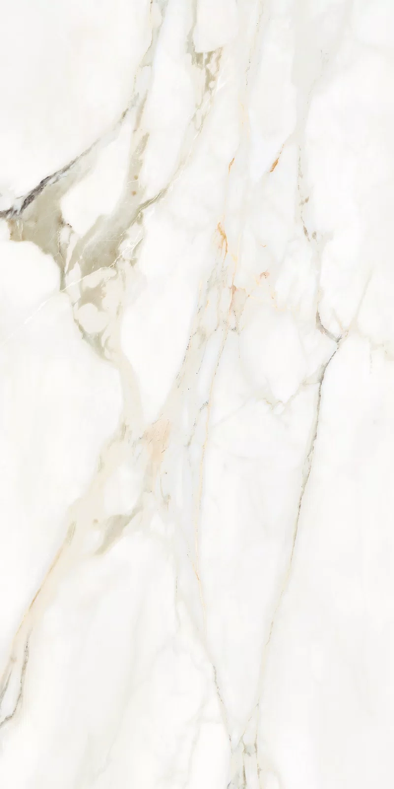 MARMOTECA_CALACATTA ELEGANCE_60X120_13
