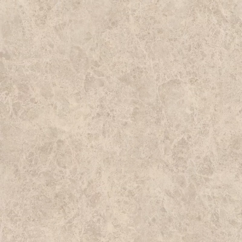 ERA DELICATE TAUPE 120X120_01