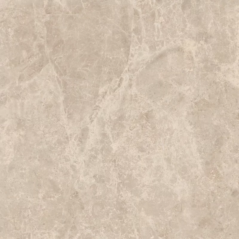 ERA DELICATE TAUPE 60X60_12