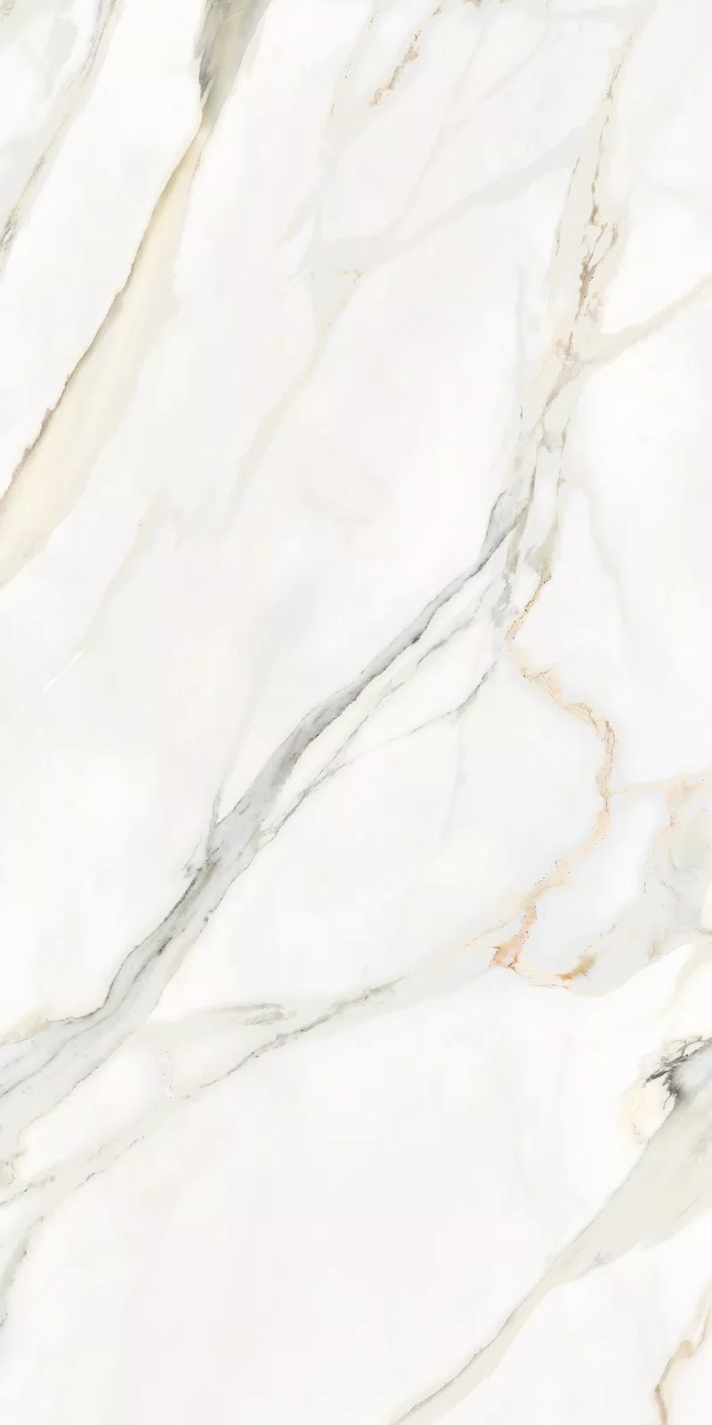 LA MARMOTECA_CALACATTA ELEGANCE_60X120_1