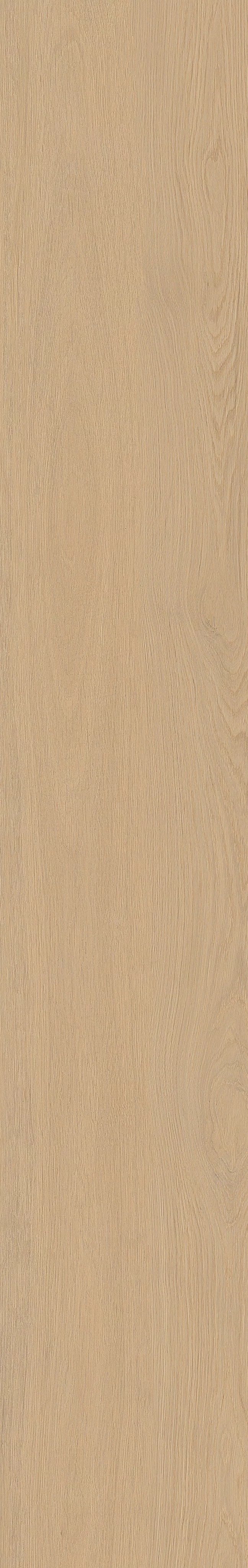 TABULAE REFINED MIELE 23,4X148_14