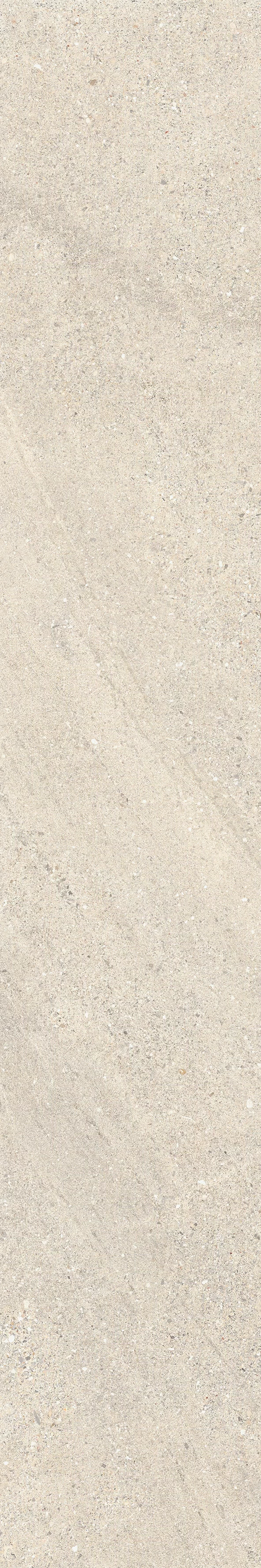 ROCKIN DESERT 20X120_04