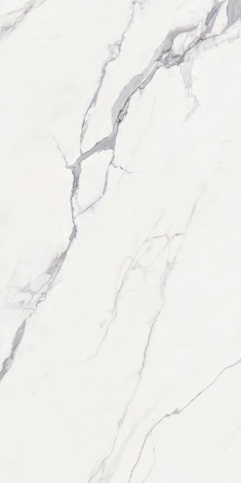 NOBILE STATUARIO 60X120_13