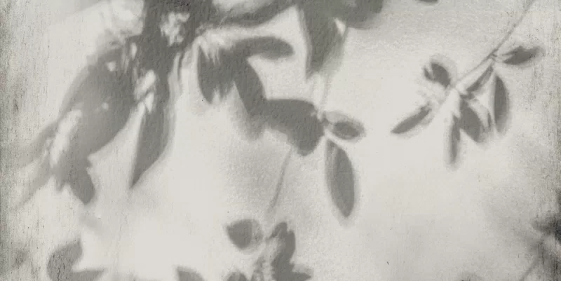 ART WALLS SHADOW 60X120_13