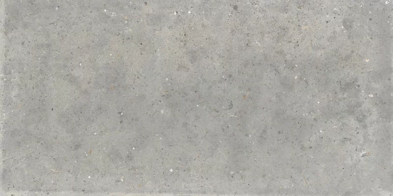 ANIMA GRIGIO R11 60X120_10