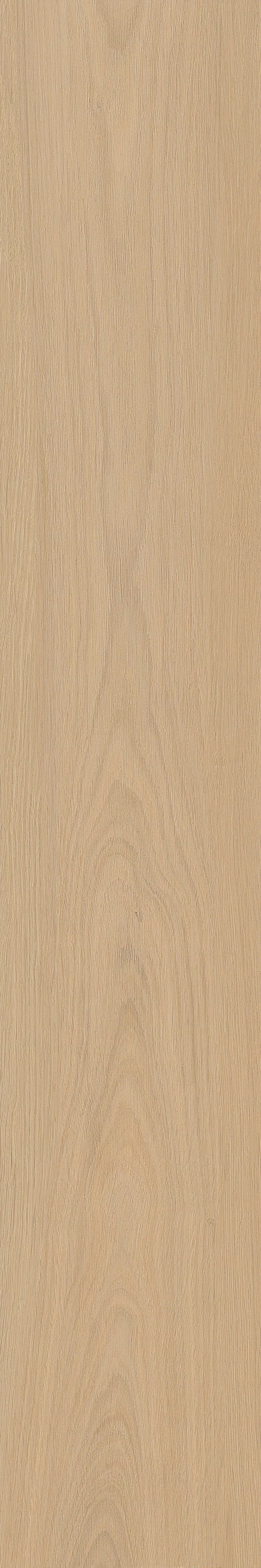 TABULAE REFINED MIELE 20X120_29
