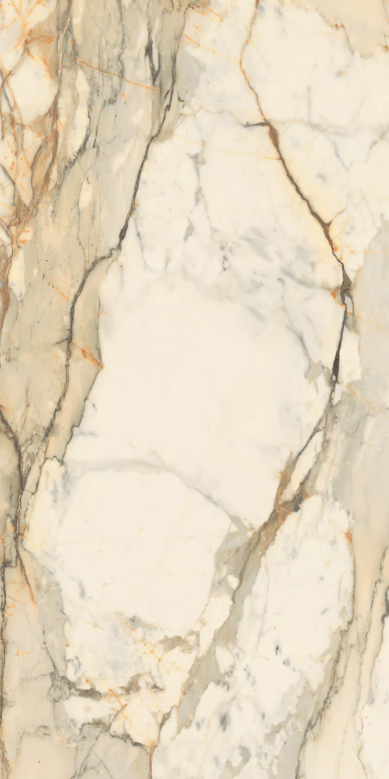 LA MARMOTECA_ANTIQUE BROWN_60x120_03