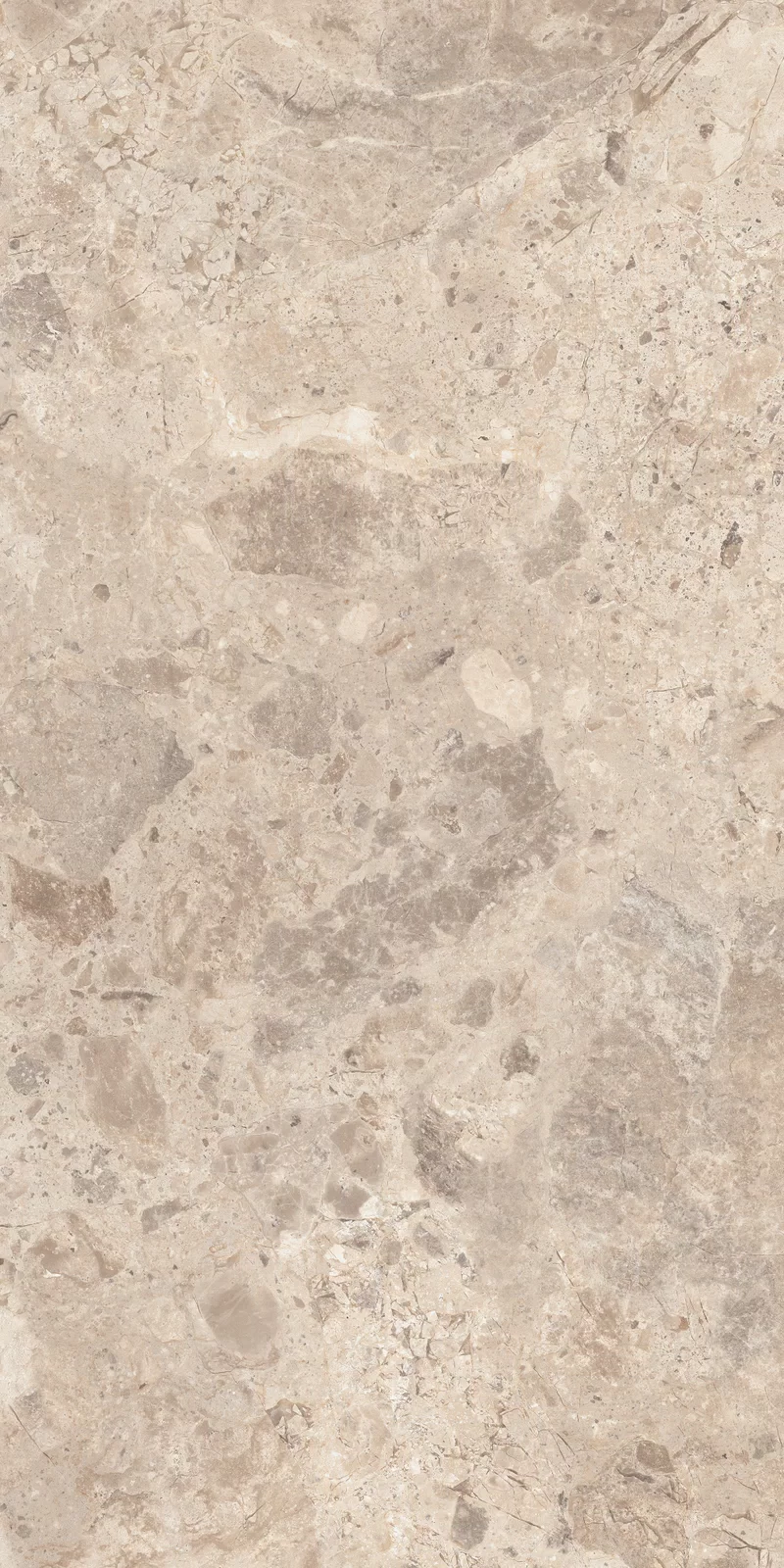 OUT.20 ERA BLOOMING TAUPE 60X120 _03