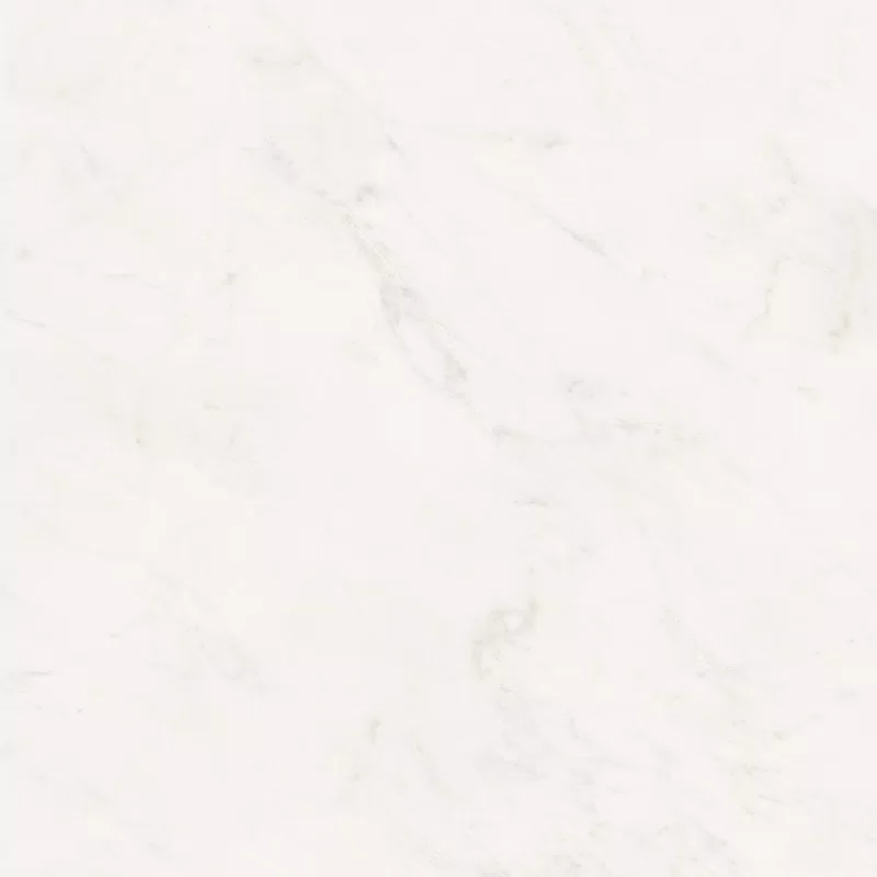 SENSI WHITE RHINO 120X120_05