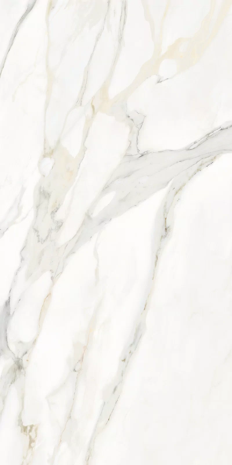 MARMOTECA_CALACATTA ELEGANCE_60X120_6