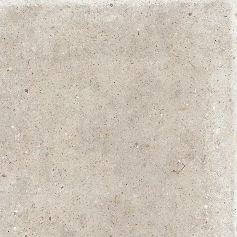 ANIMA BEIGE 60X60_08